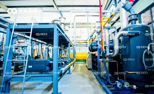 愛立方 從品牌到自建工廠，以D2級壓力容器專注打造凍干好物